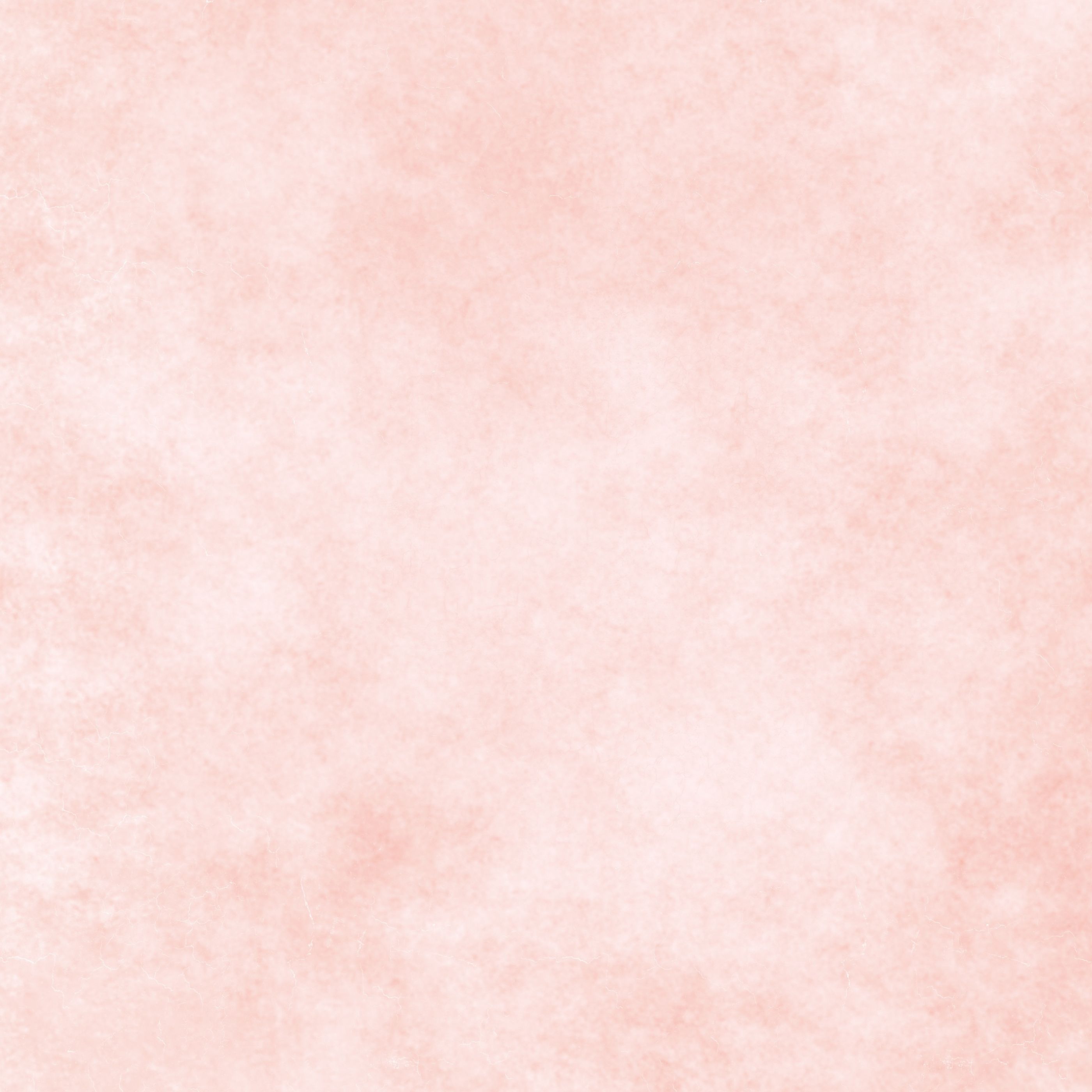 BG: Clean Studio Light