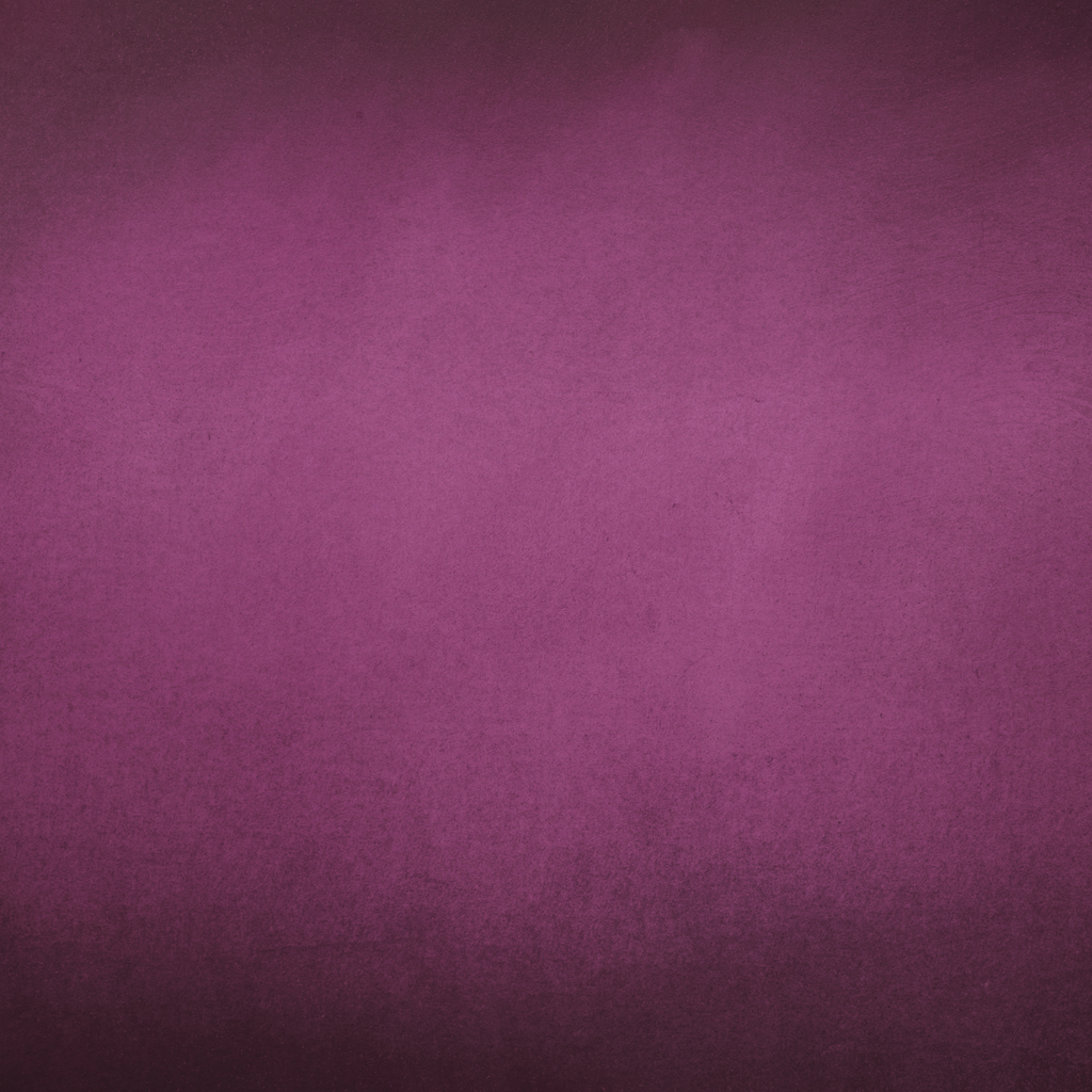 BG: Clean Studio Light